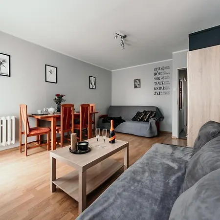 Spacious 3 Bedroom Apartament Near Olivia Business Center グダニスク