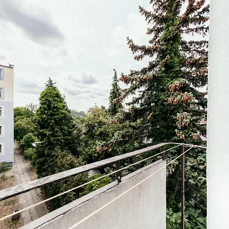 Spacious 3 Bedroom Apartament Near Olivia Business Center Apartment *